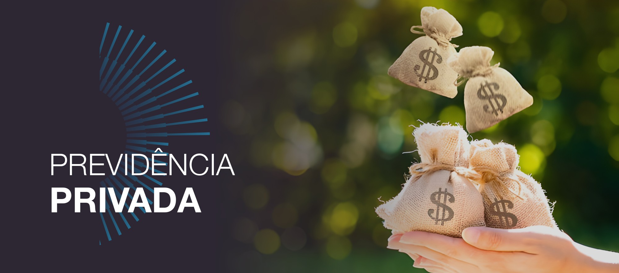 Fundos de previdência privada: tudo o que você precisa saber