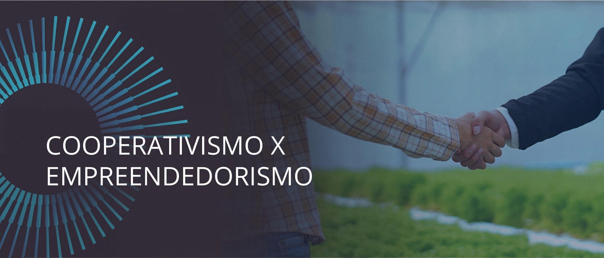MAG SEGUROS CELEBRA 20 ANOS AO LADO DAS COOPERATIVAS DE CRÉDITO